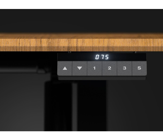 ENDORFY Atlas L Electric Dark Wood EY8E006 - 1482595 - zdjęcie 8